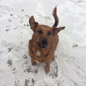 Meet your Posher, Aidan